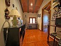  4 Bedroom Country House 4 min outside Pinoso in Inland Villas Spain