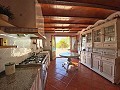  4 Bedroom Country House 4 min outside Pinoso in Inland Villas Spain