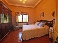  4 Bedroom Country House 4 min outside Pinoso in Inland Villas Spain