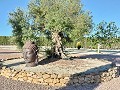 Villa avec des vues incroyables dans un petit village à quelques minutes de Pinoso in Inland Villas Spain