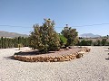 Villa mit unglaublicher Aussicht in einem kleinen Dorf nur wenige Minuten von Pinoso entfernt in Inland Villas Spain