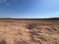 Large Parcel of Land with Olive Trees in Inland Villas Spain