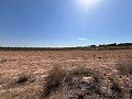 Large Parcel of Land with Olive Trees in Inland Villas Spain