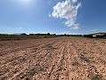 Large Parcel of Land with Olive Trees in Inland Villas Spain