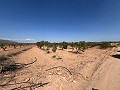 Large Parcel of Land with Olive Trees in Inland Villas Spain