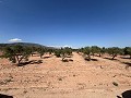 Stort stykke jord med oliventræer in Inland Villas Spain