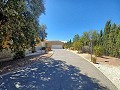 Großes Haus im Dorf in der Nähe von Pinoso und Monovar in Inland Villas Spain