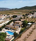 Stort hus i landsby tæt på Pinoso og Monovar in Inland Villas Spain