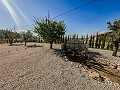 Superbes villas neuves avec terrain et piscine in Inland Villas Spain