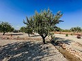 Superbes villas neuves avec terrain et piscine in Inland Villas Spain