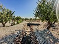 Atemberaubende Neubauvillen inklusive Grundstück und Pool in Inland Villas Spain