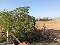 Casa de 4 habitaciones Yecla in Inland Villas Spain