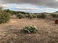 Villa met 3 slaapkamers, groot zwembad en loopafstand van de stad in Inland Villas Spain