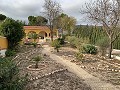 Villa met 3 slaapkamers, groot zwembad en loopafstand van de stad in Inland Villas Spain