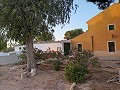 3 Bedroom Renovated house Yecla in Inland Villas Spain