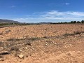 15,000m2 of land in Pinoso with electricity onsite and drinking water close in Inland Villas Spain