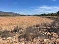 15,000m2 of land in Pinoso with electricity onsite and drinking water close in Inland Villas Spain