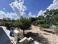 Charmante maison de campagne entre Sax et Elda in Inland Villas Spain