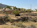 Schönes Landhaus mit 3 Schlafzimmern in Inland Villas Spain