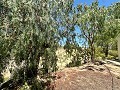 Landhaus mit Pool und unglaublicher Aussicht in Sax in Inland Villas Spain