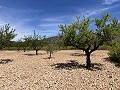 Prachtige vrijstaande villa met zwembad in Pinoso in Inland Villas Spain