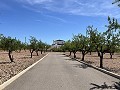 Prachtige vrijstaande villa met zwembad in Pinoso in Inland Villas Spain