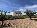 Impresionante villa independiente con piscina en Pinoso in Inland Villas Spain