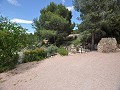 Gemoderniseerde Gedeeltelijke Grotwoning in de bergen in Inland Villas Spain