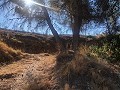 Gemoderniseerde Gedeeltelijke Grotwoning in de bergen in Inland Villas Spain