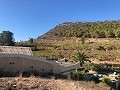 Teilmodernisiertes Höhlenhaus in den Bergen in Inland Villas Spain