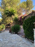 Gemoderniseerde Gedeeltelijke Grotwoning in de bergen in Inland Villas Spain