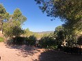 Teilmodernisiertes Höhlenhaus in den Bergen in Inland Villas Spain