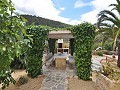 Casa cueva modernizada en las montañas in Inland Villas Spain