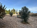 Mooi landhuis met grote padelbaan in Inland Villas Spain