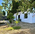 Lovely country home with full sized padel court  in Inland Villas Spain