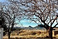 Preciosa casa de campo con pista de pádel de tamaño completo in Inland Villas Spain