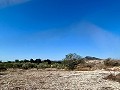 Mooi landhuis met grote padelbaan in Inland Villas Spain