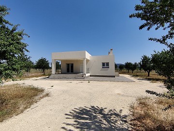 New build villas in Pinoso