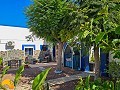 6 Bedroom 5 Bathroom Finca Catral in Inland Villas Spain