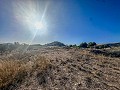 Groot huis op het platteland met percelen in Pinoso in Inland Villas Spain