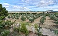 Loop naar de stad Villa met zwembad in Inland Villas Spain