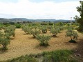 Gehen Sie in die Stadt Villa mit Pool in Inland Villas Spain