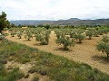 Gehen Sie in die Stadt Villa mit Pool in Inland Villas Spain