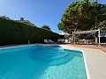 Amazing villa in Loma bada Petrer in Inland Villas Spain