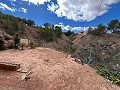 Maison de campagne à Pinoso avec 2 chambres troglodytes in Inland Villas Spain