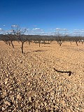 Groot perceel te koop nabij Pinoso in Inland Villas Spain