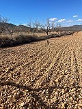 Groot perceel te koop nabij Pinoso in Inland Villas Spain