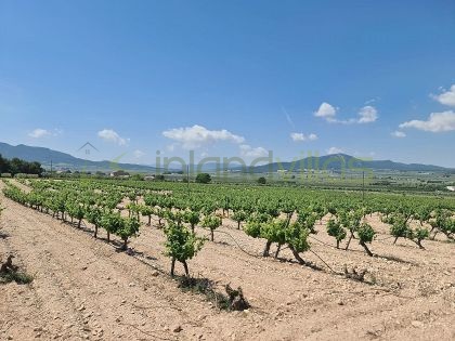 Parcela en Salinas