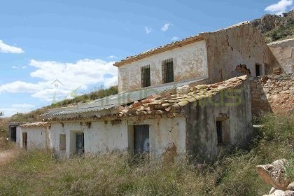 Proyecto de restauración en Jumilla