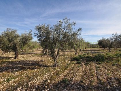 Parcela en Salinas - Reventa - Inland Villas Spain